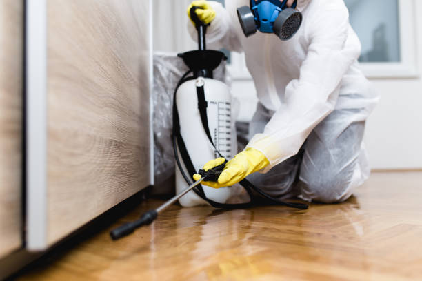 Best Flea Control Services  in Hampton Beach, NH