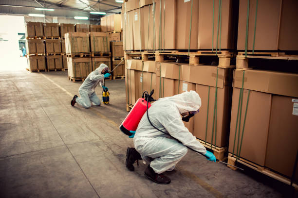 Best Wasp Removal Services  in Hampton Beach, NH